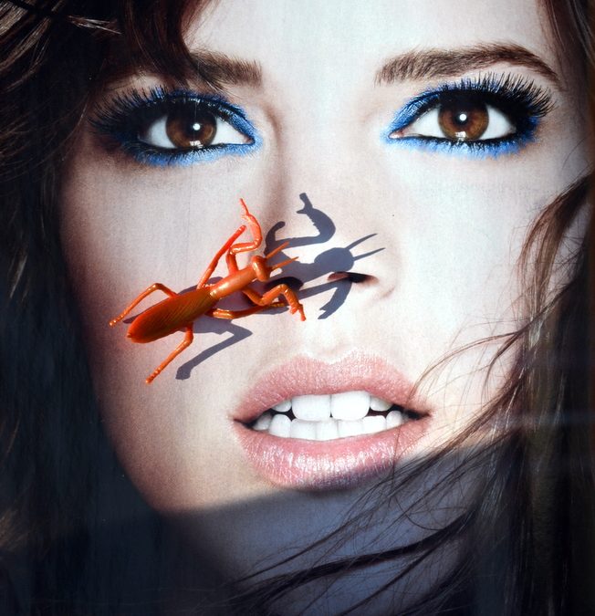 Insect glossy ad